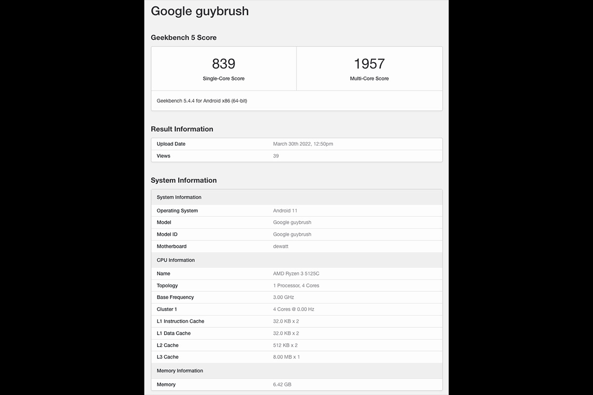google-guybrush-dewatt-geekbench-ryzen3-5125c
